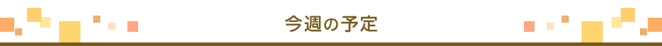 今週の予定